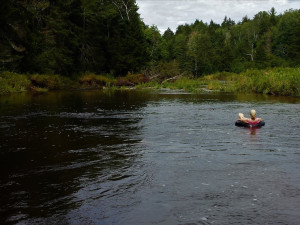 Hang out in the stream